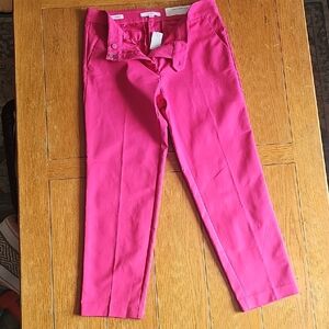 LOFT Vibrant Pink  Casual Pants